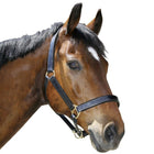 Covalliero Cavezza Cuero Robust Marrone
