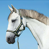 Covalliero Capezzina Hippo Antracite/Limone