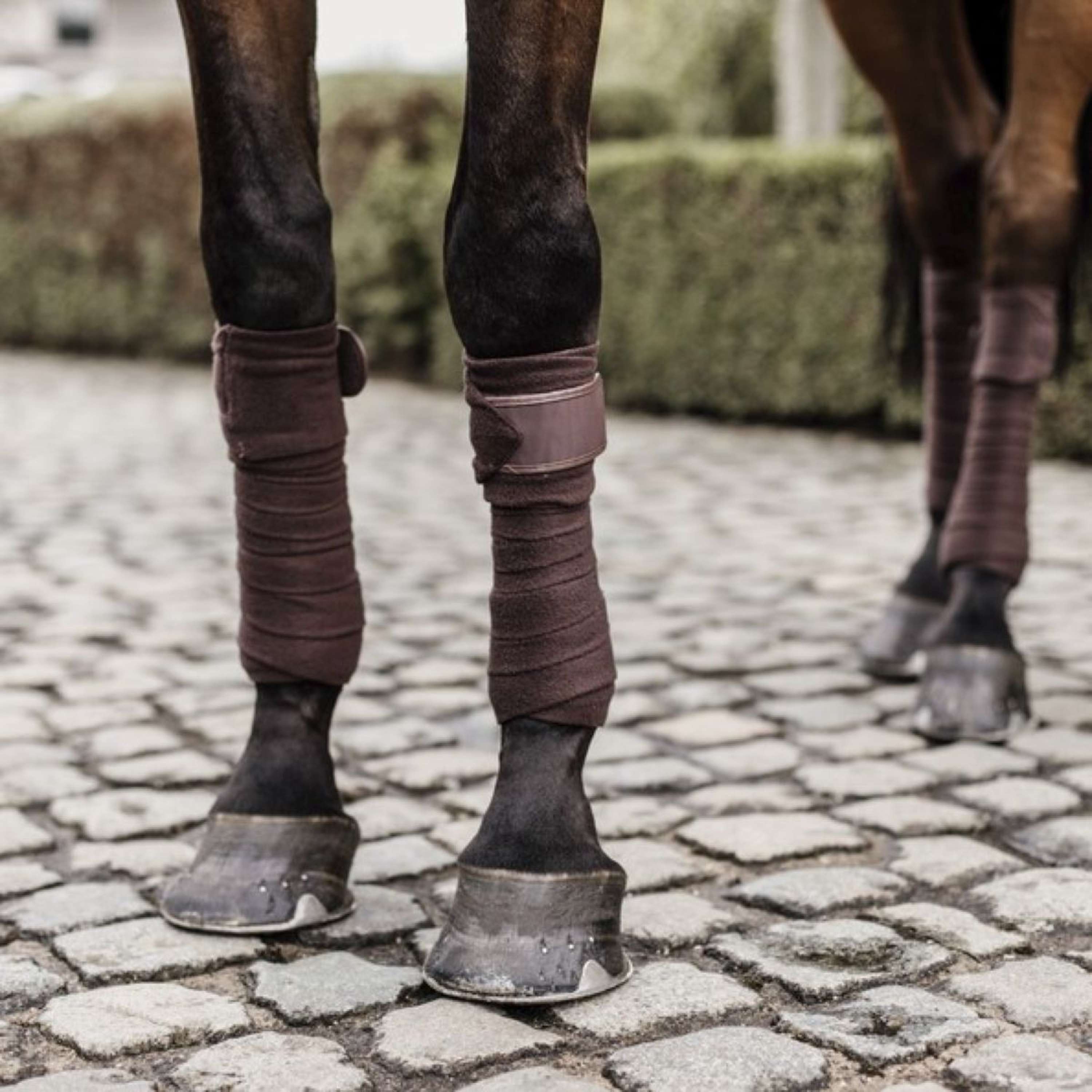 Kentucky Horsewear Bende Marrone