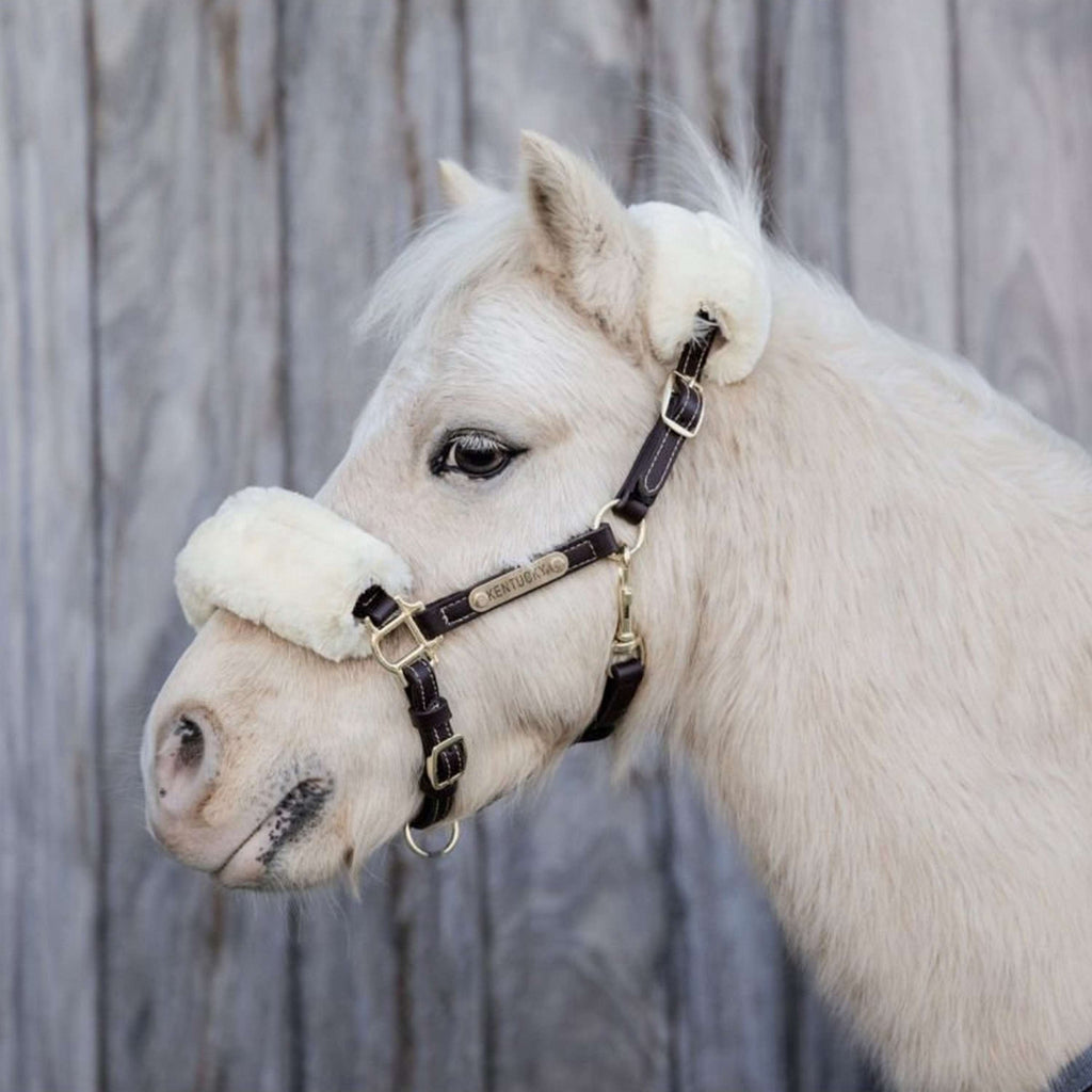 Kentucky Horsewear Cavezza in Cuoio Pelle di pecora in pelle Marrone/Naturale