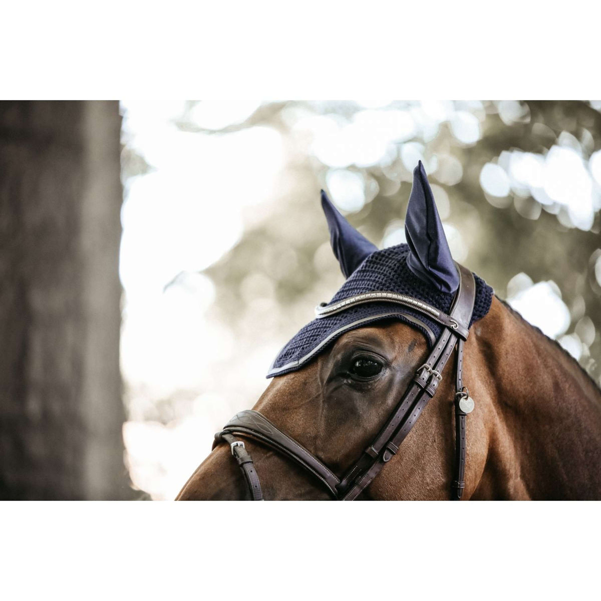 Kentucky Horsewear Cuffietta Wellington Blu scuro