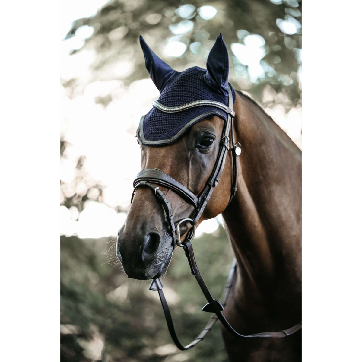 Kentucky Horsewear Cuffietta Wellington Blu scuro