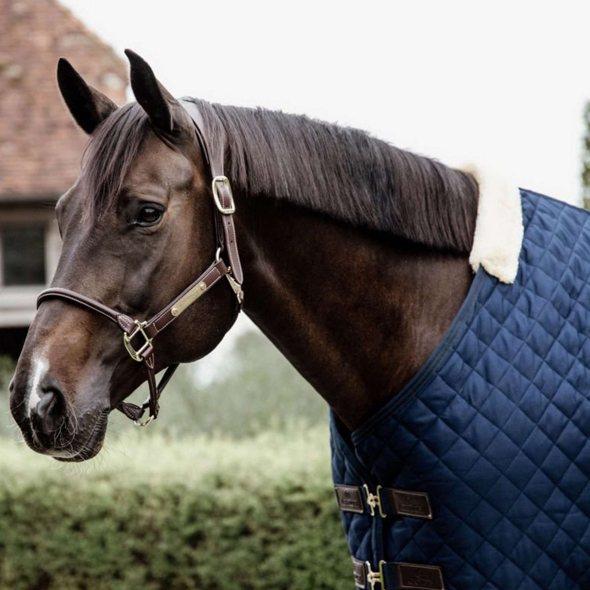 Kentucky Horsewear Coperta da scuderia 200g Navy