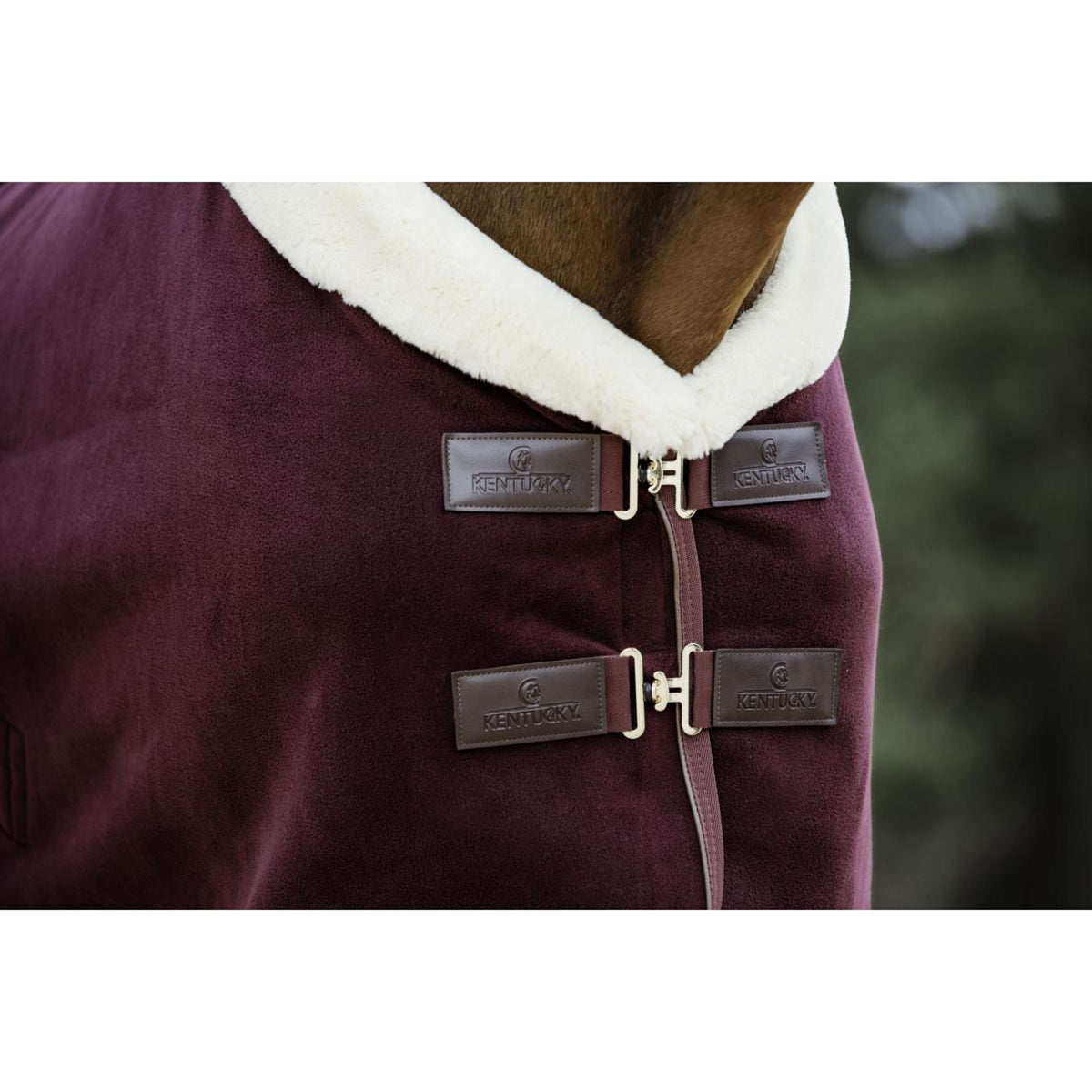 Kentucky Horsewear Coperta antisudore Show Fleece Heavy Bordeaux