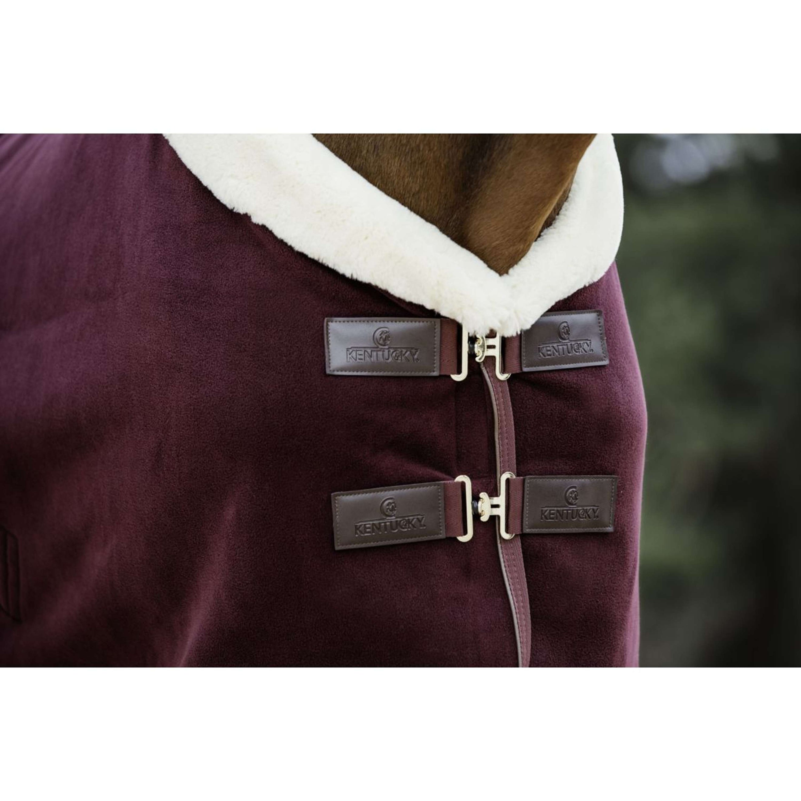 Kentucky Horsewear Coperta antisudore Show Fleece Heavy Bordeaux Kentucky Horsewear Coperta antisudore Show Fleece Heavy Bordeaux