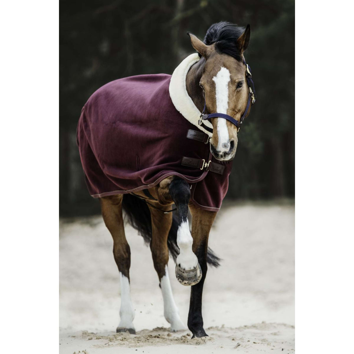 Kentucky Horsewear Coperta antisudore Show Fleece Heavy Bordeaux