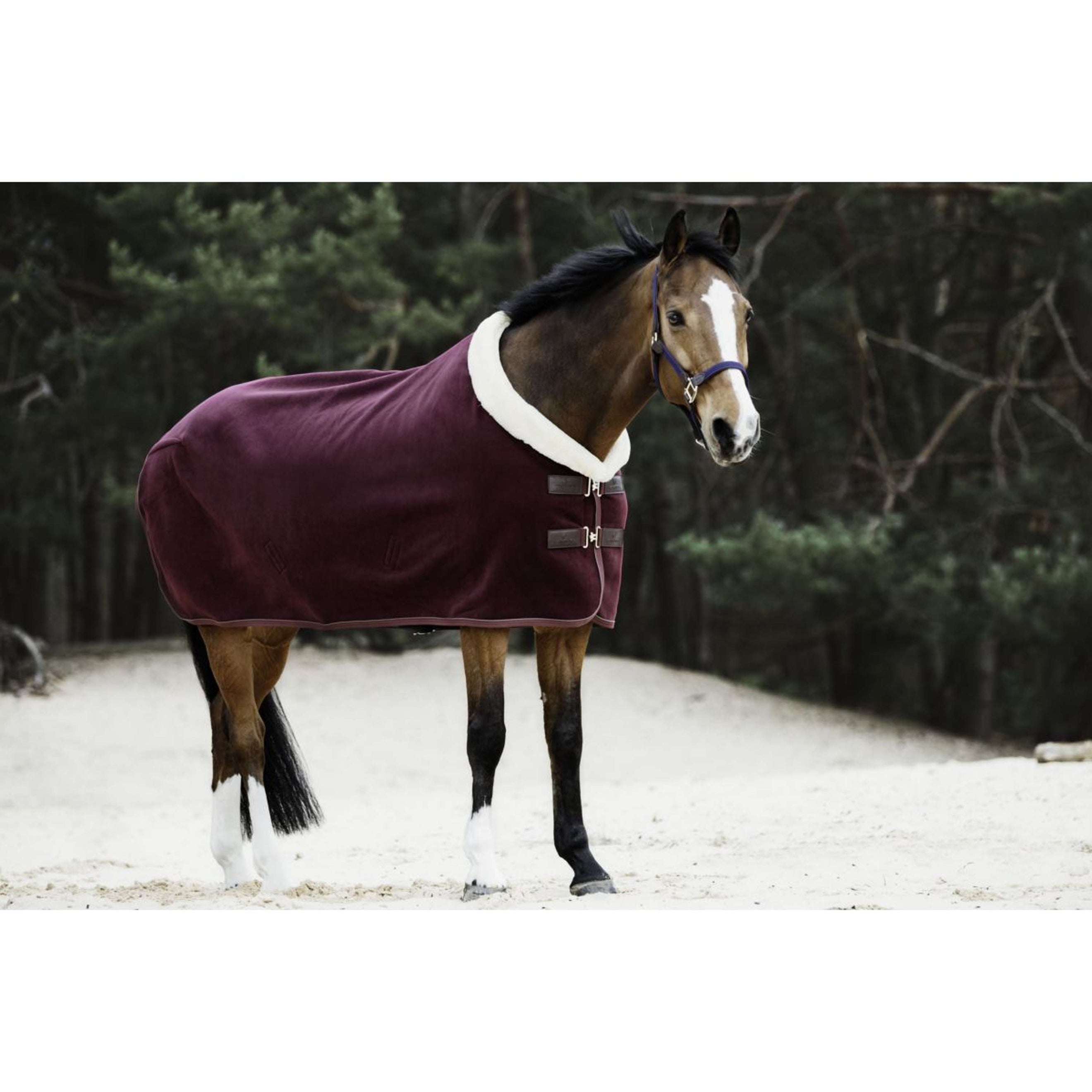 Kentucky Horsewear Coperta antisudore Show Fleece Heavy Bordeaux