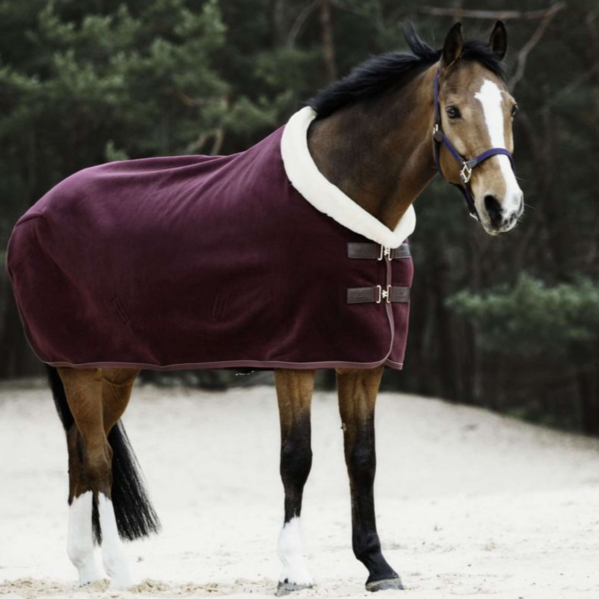 Kentucky Horsewear Coperta antisudore Show Fleece Heavy Bordeaux
