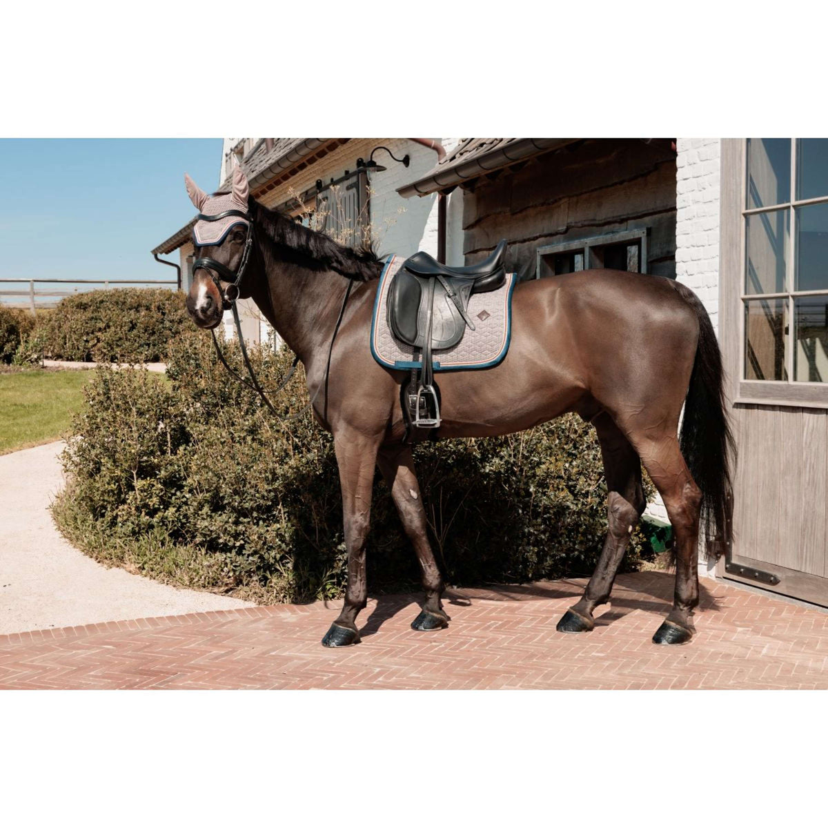 Kentucky Horsewear Sottosella Pied-de-Poule Dressage Bordeaux/Navy