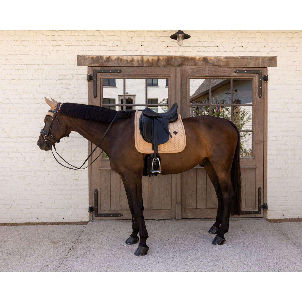 Kentucky Sottosella Velvet Mini Pearls Dressage Beige