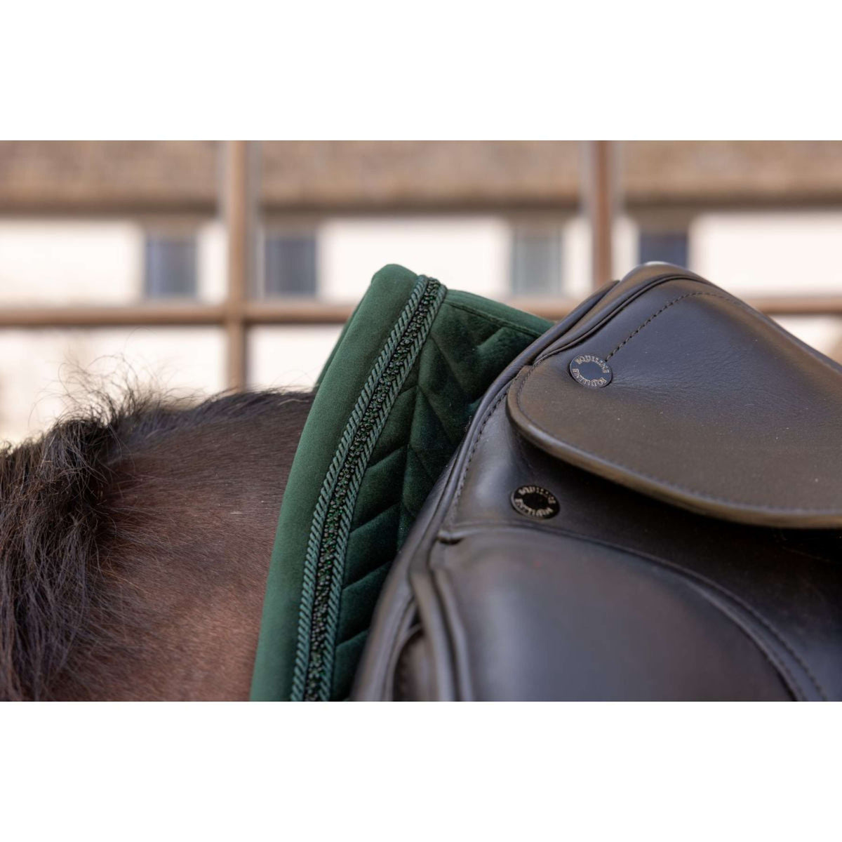 Kentucky Sottosella Velvet Mini Pearls Dressage Pine Green