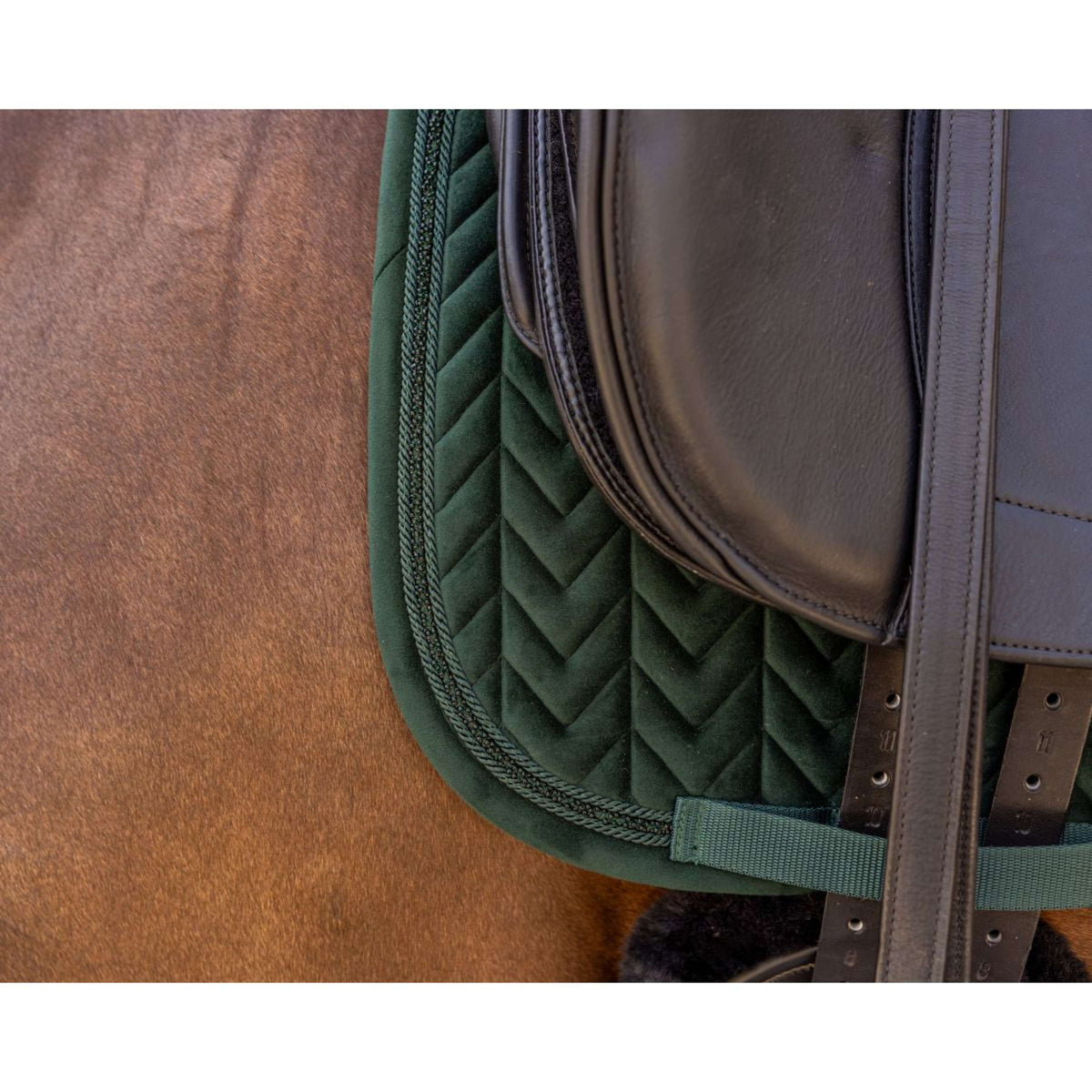 Kentucky Sottosella Velvet Mini Pearls Dressage Pine Green