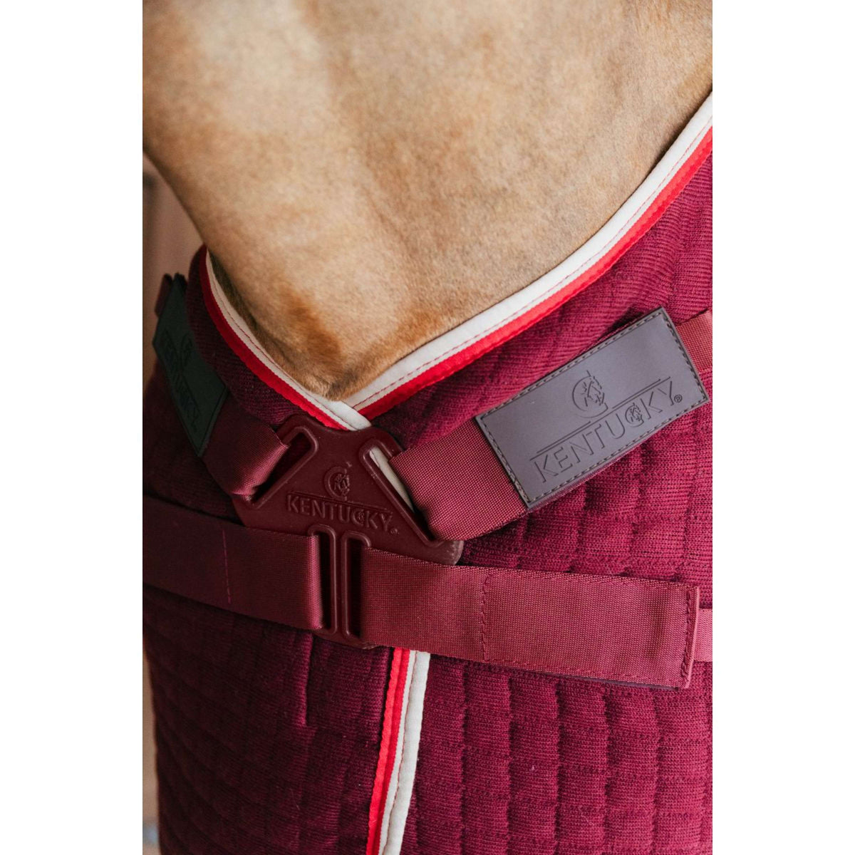 Kentucky Cooler PROTherm Bordeaux