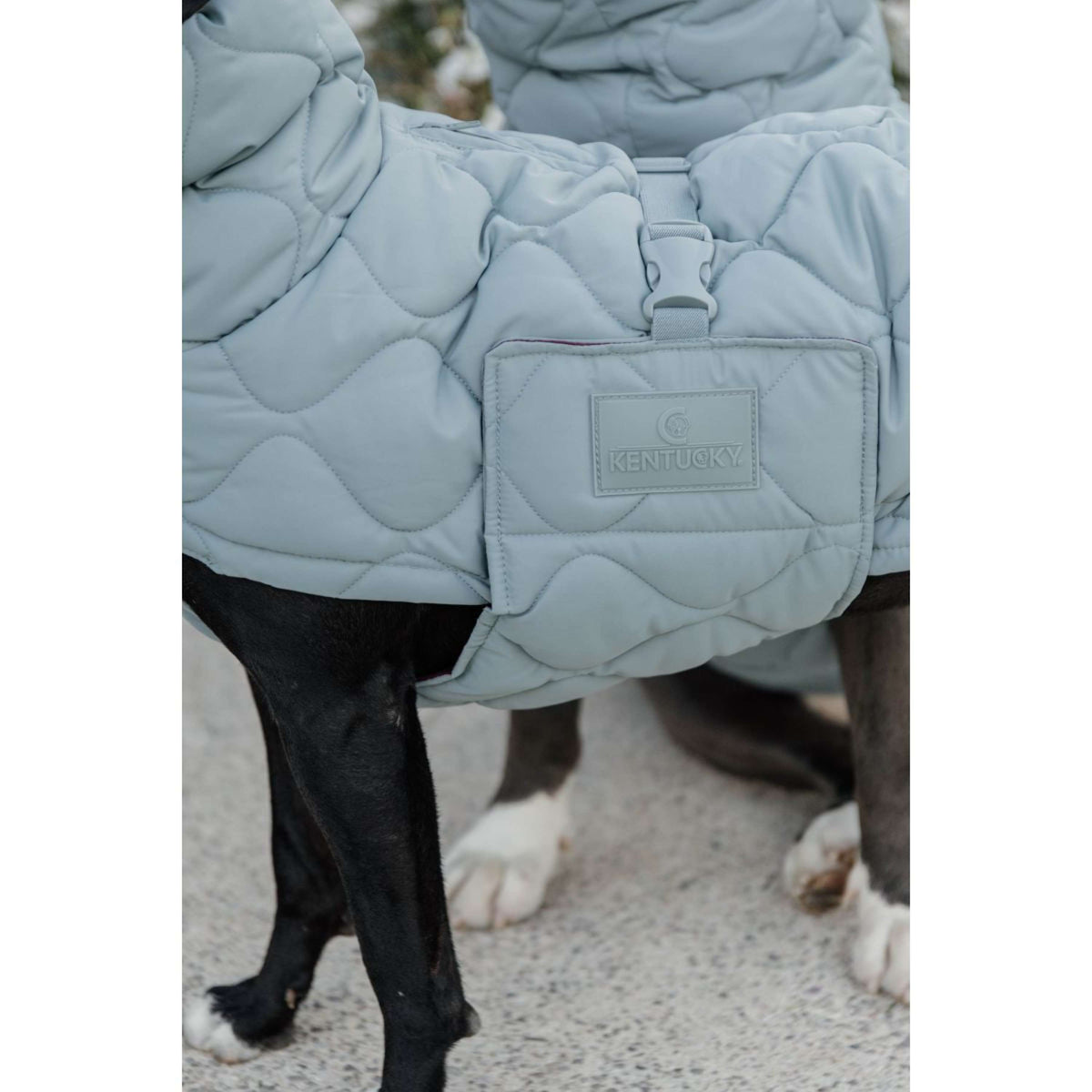 Kentucky Horsewear Coperta per Cani Winter Pina 160g Dusty Blue