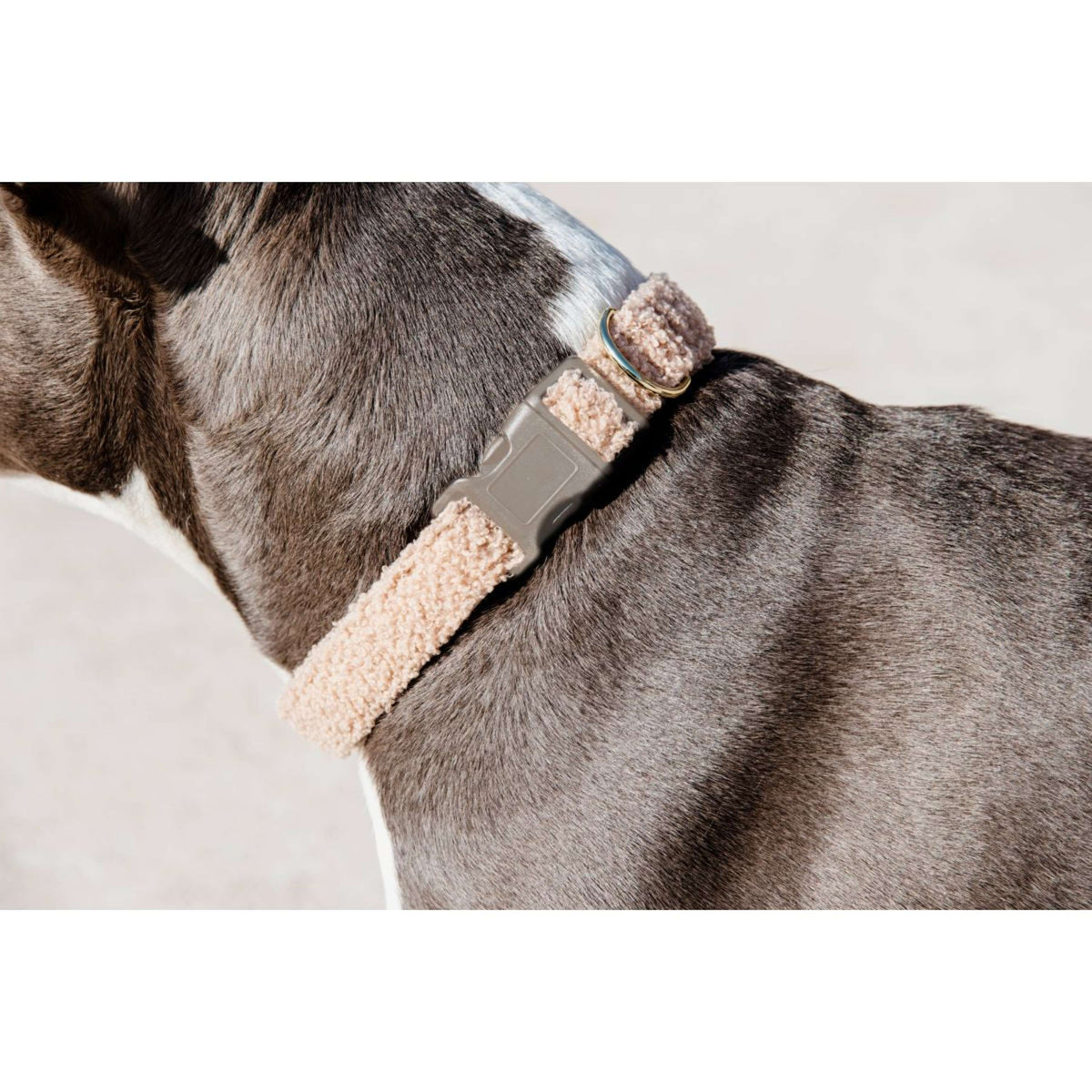 Kentucky Dogwear Halsband Teddy Fleece Rosa antico