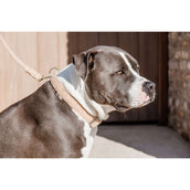 Kentucky Dogwear Halsband Teddy Fleece Rosa antico