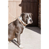 Kentucky Dogwear Halsband Teddy Fleece Rosa antico