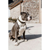 Kentucky Dogwear Halsband Teddy Fleece Pine Green