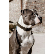 Kentucky Dogwear Halsband Teddy Fleece Pine Green