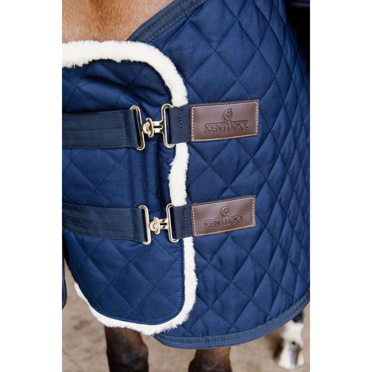 Kentucky Horsewear Estensore toracico Wol 2 chiusure di accoppiamento Navy