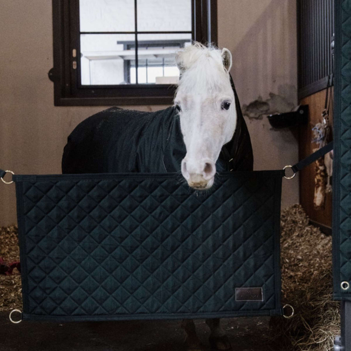 Kentucky Horsewear Stable Guard Verde scuro