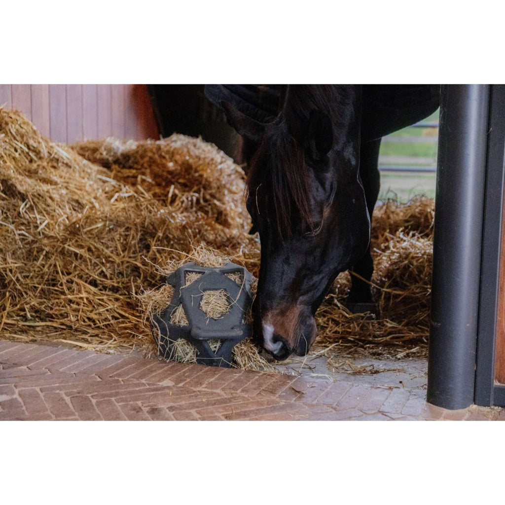Kentucky Horsewear Pallone da Gioco Play & Hay Grigio