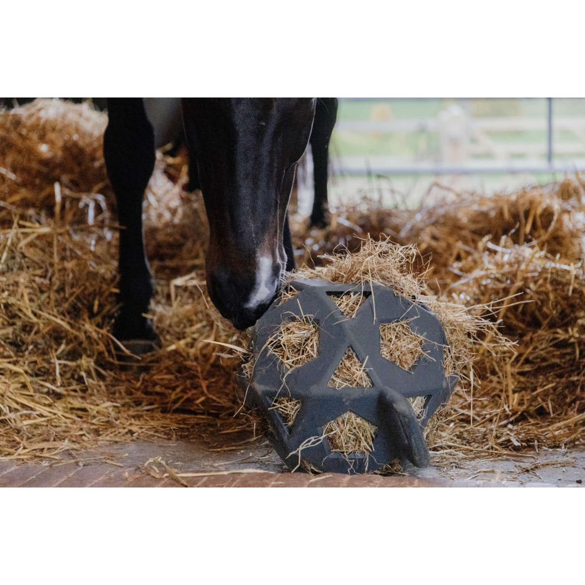 Kentucky Horsewear Pallone da Gioco Play & Hay Grigio