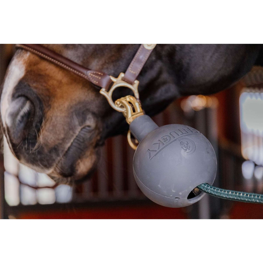Kentucky Horsewear Pallone da Gioco Rubber Grigio