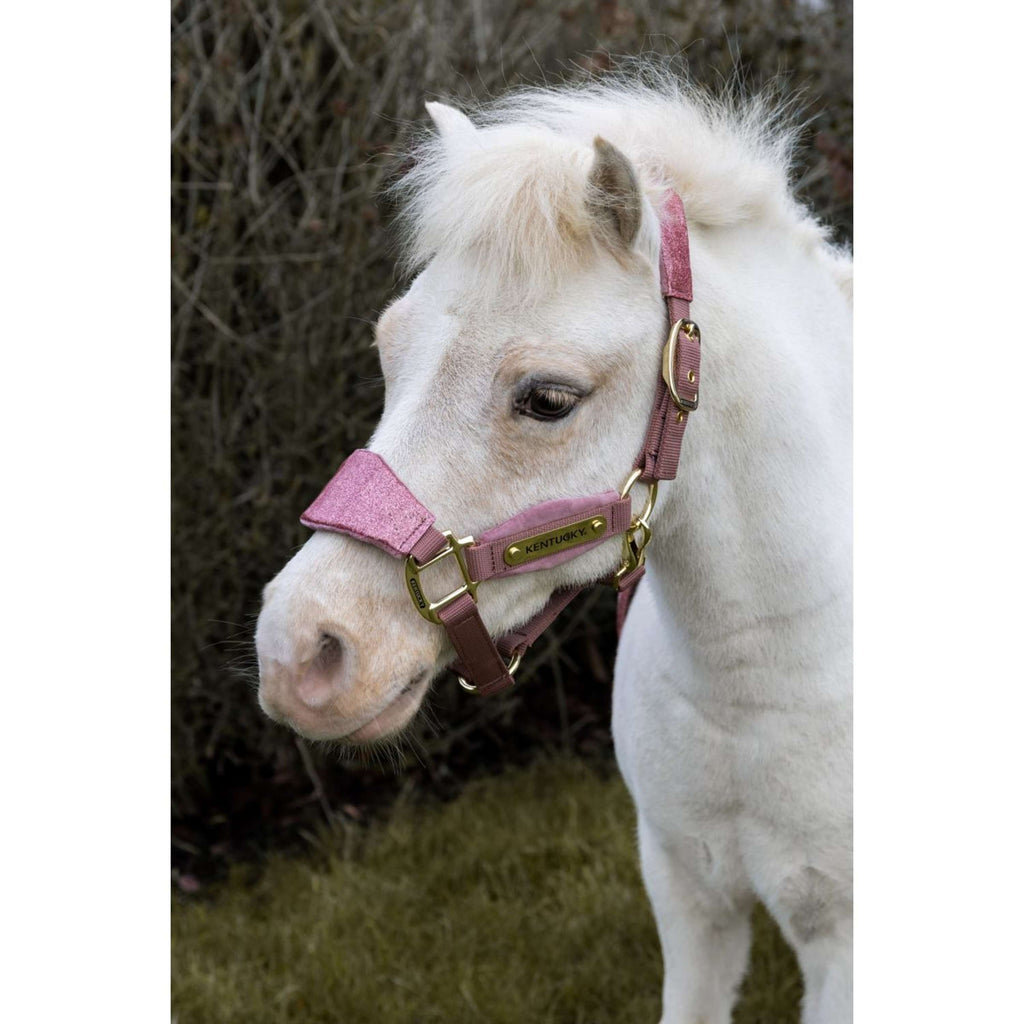 Kentucky Horsewear Cavezza Velvet Glitter Unicorn Rosa antico