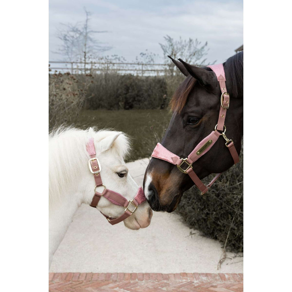 Kentucky Horsewear Cavezza Velvet Glitter Unicorn Rosa antico