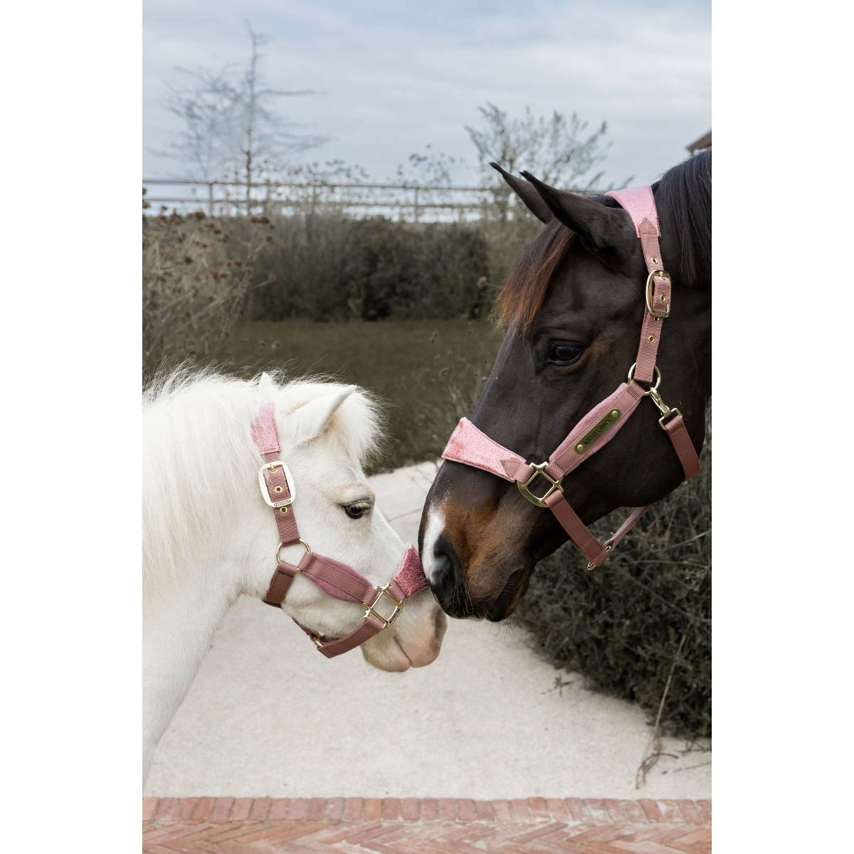 Kentucky Horsewear Capezzina Velvet Glitter Unicorn Rosa antico