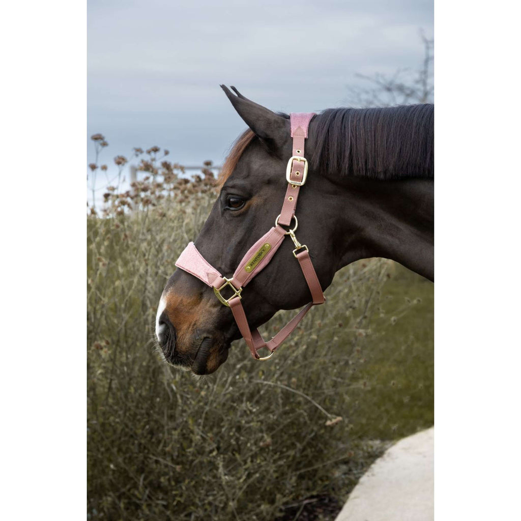 Kentucky Horsewear Cavezza Velvet Glitter Unicorn Rosa antico