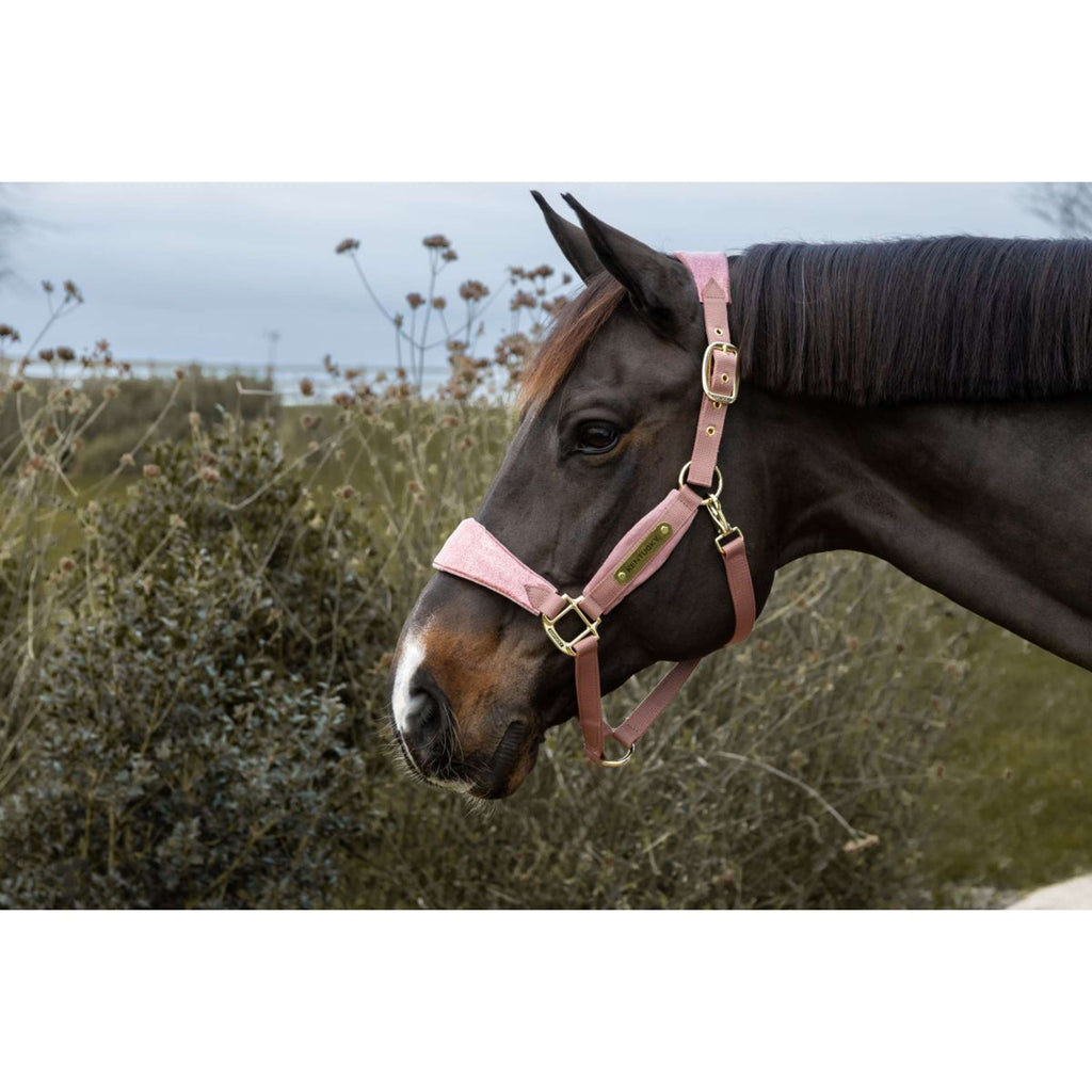Kentucky Horsewear Cavezza Velvet Glitter Unicorn Rosa antico