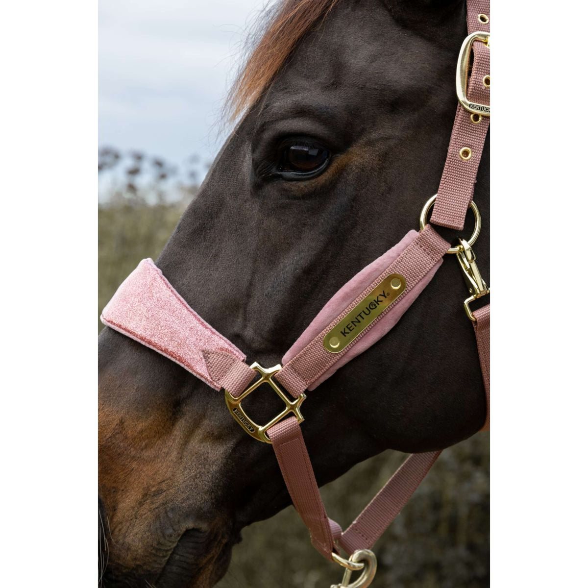 Kentucky Horsewear Capezzina Velvet Glitter Unicorn Rosa antico