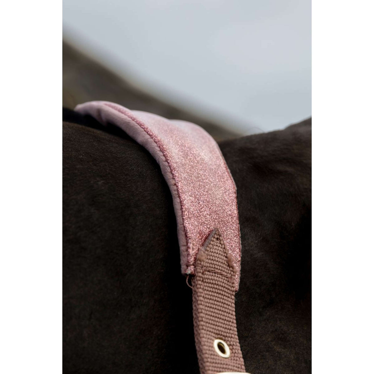 Kentucky Horsewear Capezzina Velvet Glitter Unicorn Rosa antico