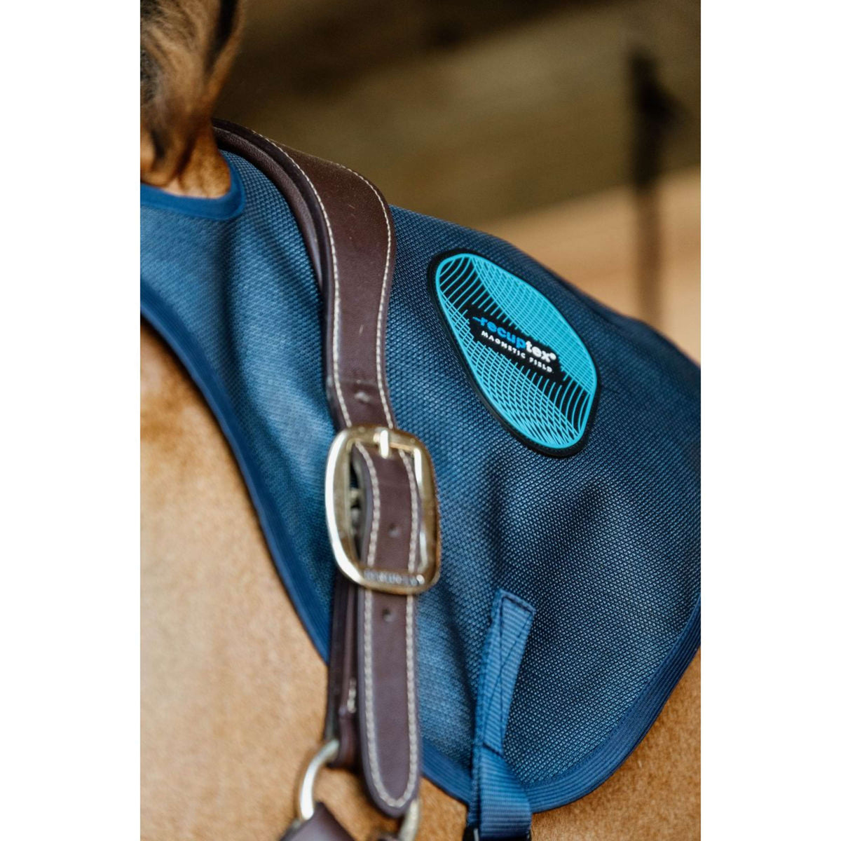 Kentucky Collare magnetico Recuptex Blu