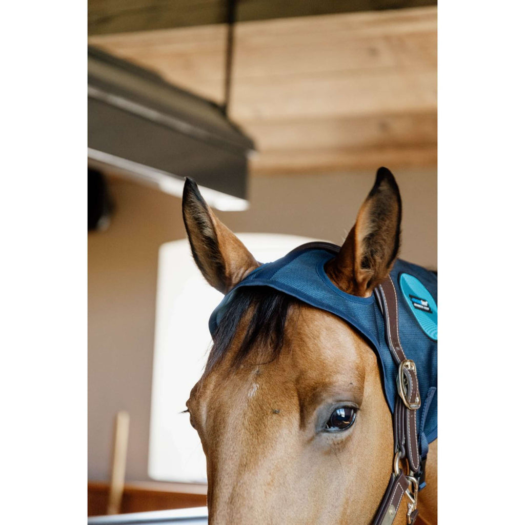 Kentucky Collare magnetico Recuptex Blu