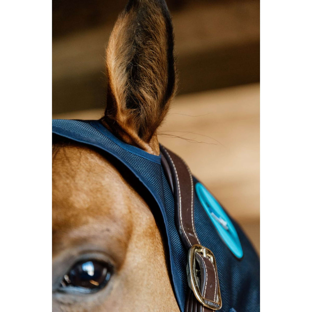 Kentucky Collare magnetico Recuptex Blu