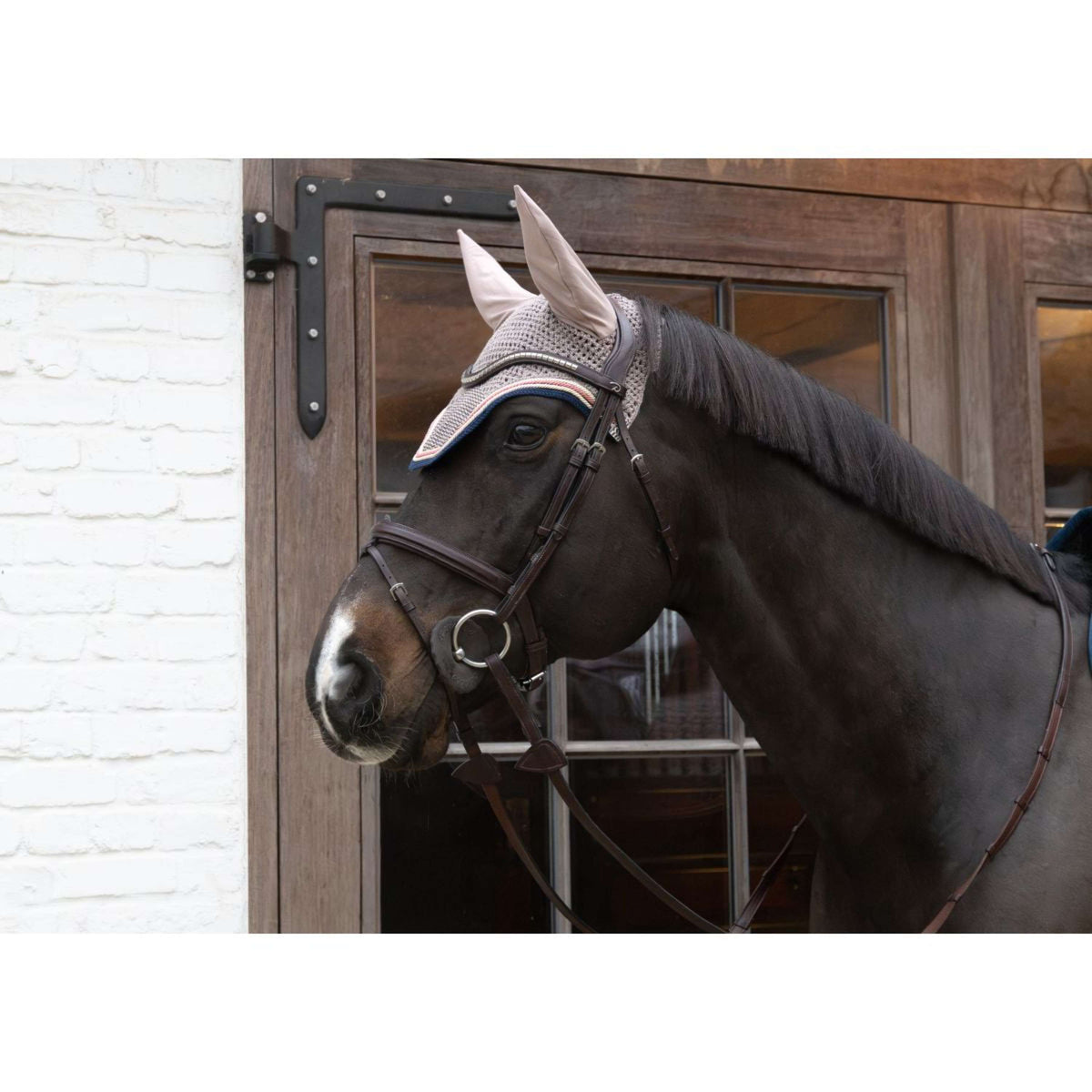 Kentucky Horsewear Cuffietta Wellington Pied-de-Poule Bordeaux/Navy