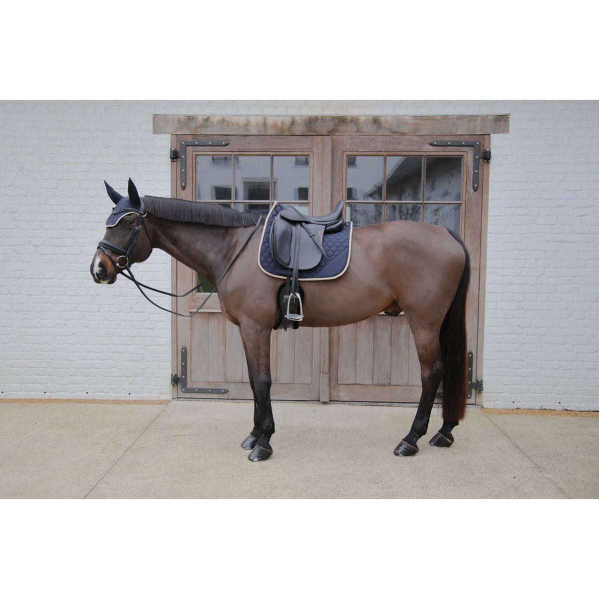 Kentucky Horsewear Sottosella Softshell Onion Quilt Dressage Blu marino/beige