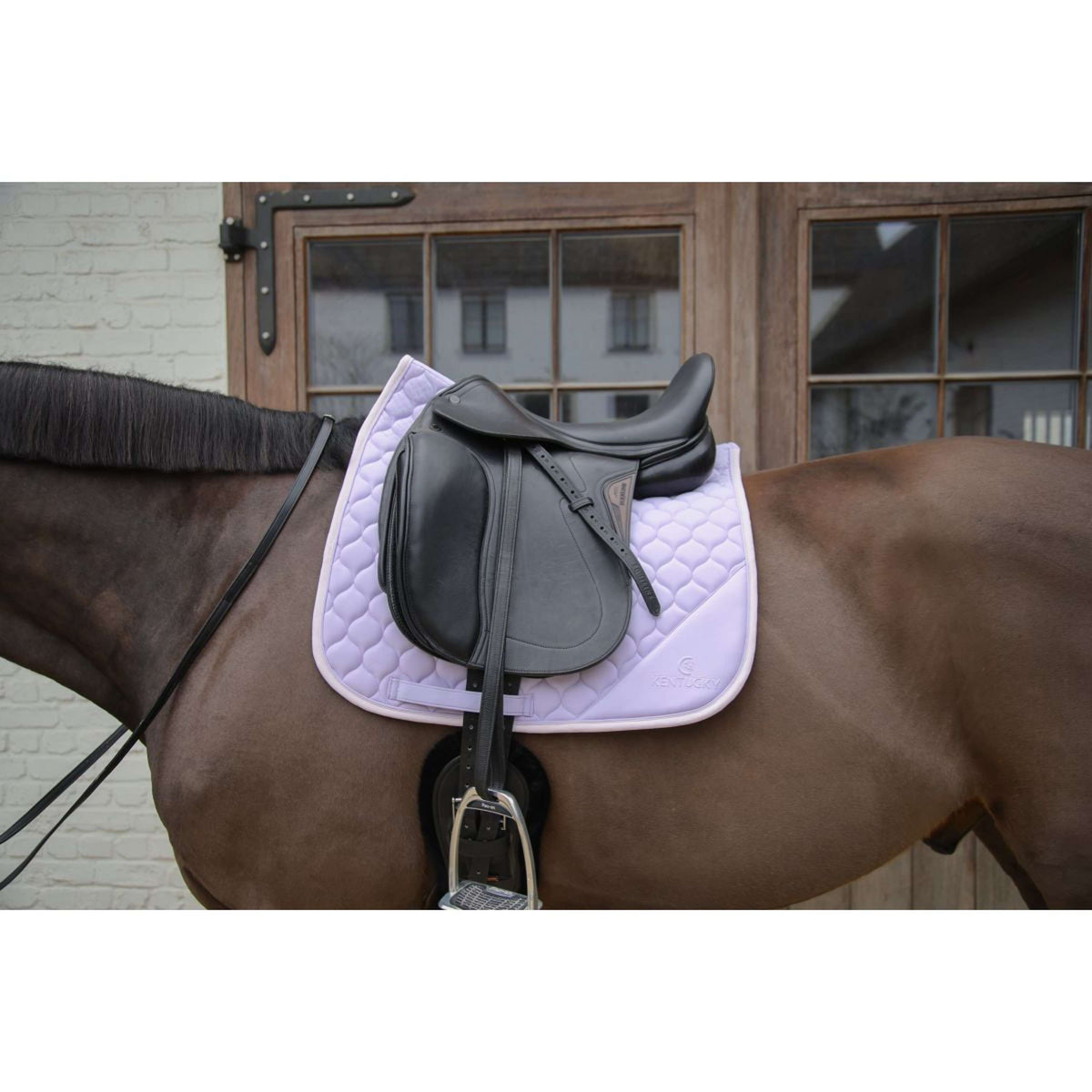 Kentucky Horsewear Sottosella Softshell Onion Quilt Dressage Viola chiaro/Rosa chiaro