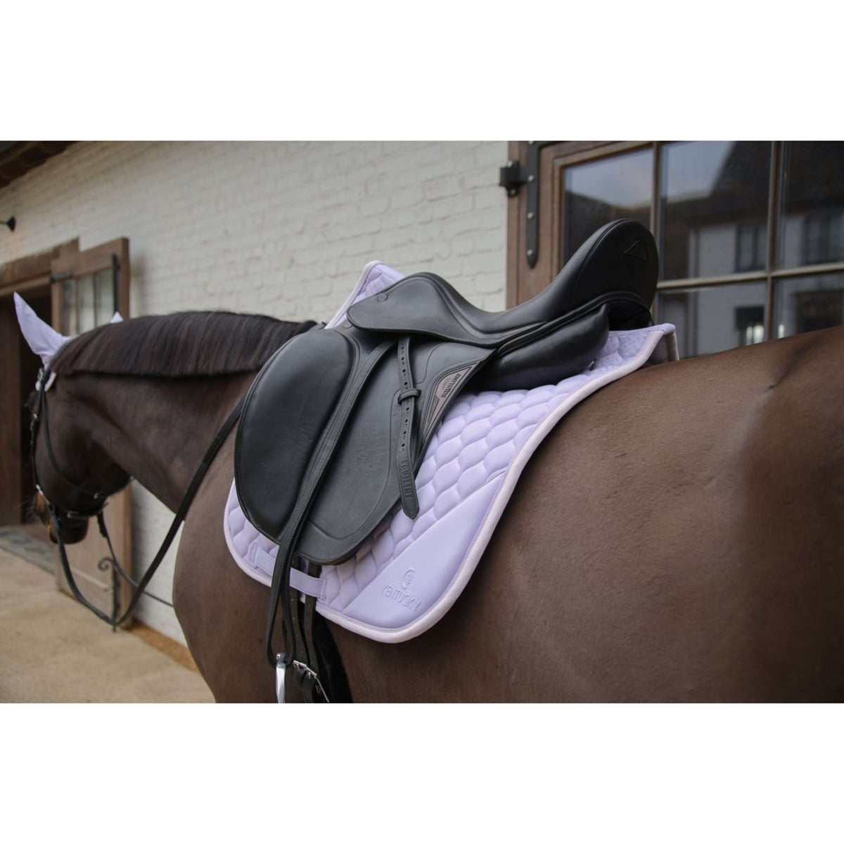 Kentucky Horsewear Sottosella Softshell Onion Quilt Dressage Viola chiaro/Rosa chiaro