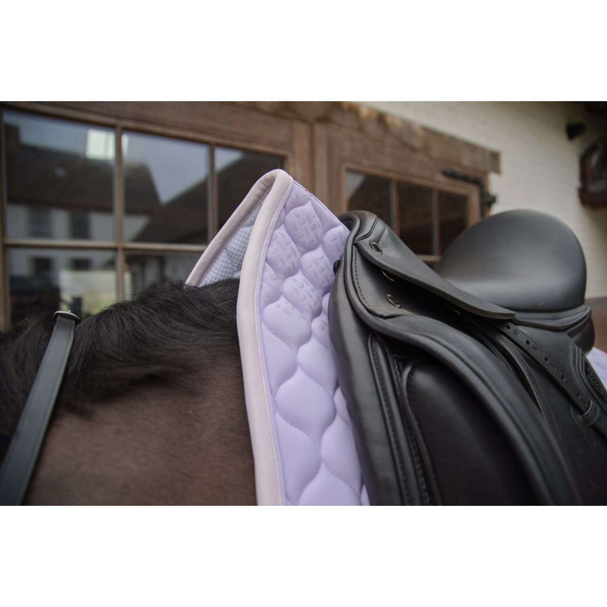 Kentucky Horsewear Sottosella Softshell Onion Quilt Dressage Viola chiaro/Rosa chiaro