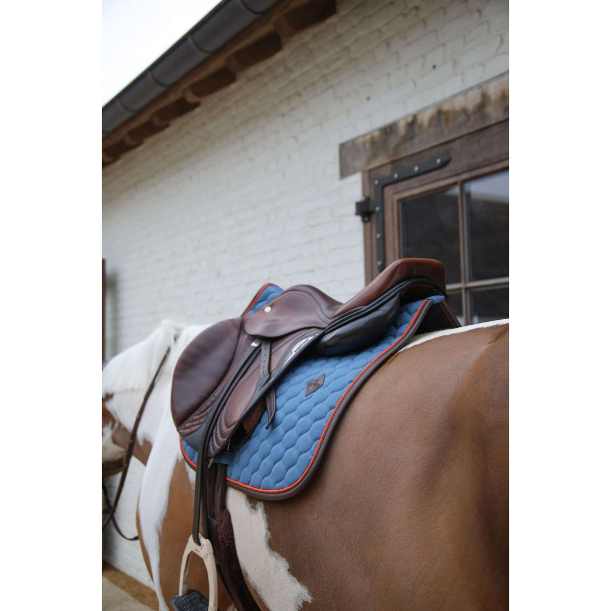 Kentucky Horsewear Sottosella Onion Quilt Leather Neon saltando Blu