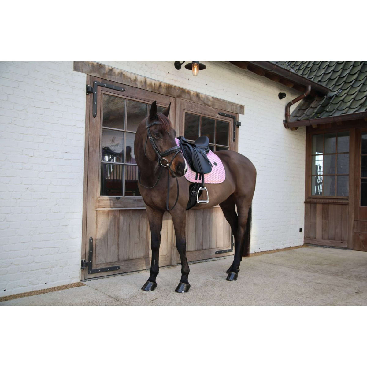 Kentucky Sottosella Velvet Sammy Dressage Old Rose