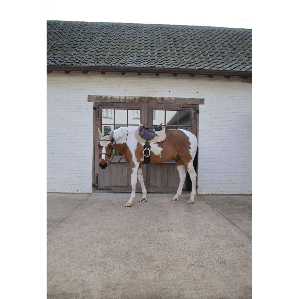 Kentucky Horsewear Sottosella Softshell Onion Quilt saltando Beige/Rosa antico