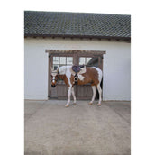 Kentucky Horsewear Sottosella Softshell Onion Quilt saltando Beige/Rosa antico