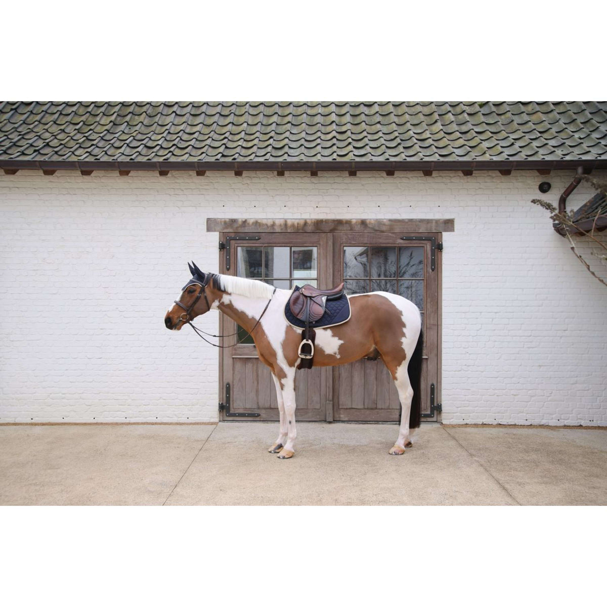 Kentucky Horsewear Sottosella Softshell Onion Quilt saltando Blu marino/beige