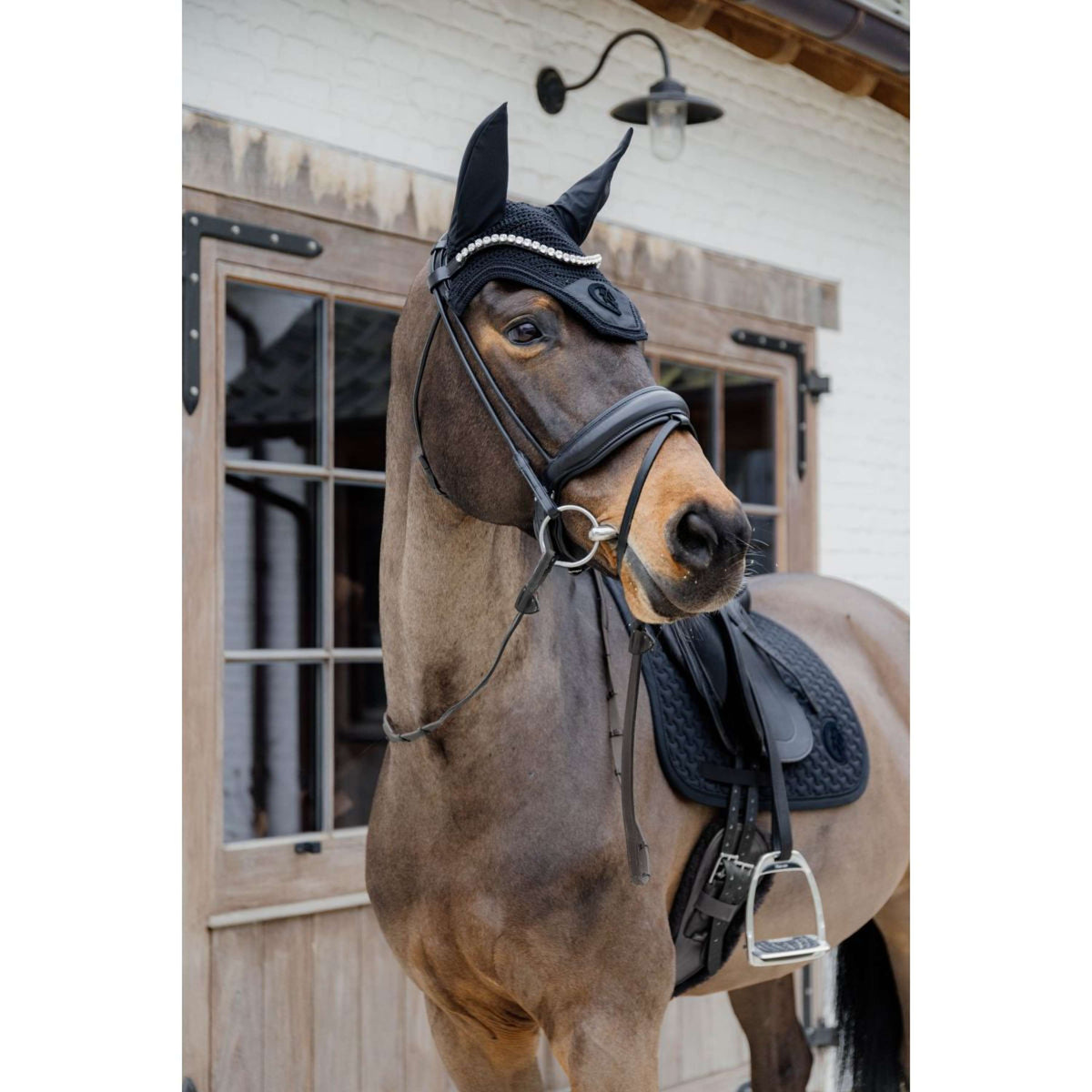 Kentucky Horsewear Sottosella Plaited Logo Nero