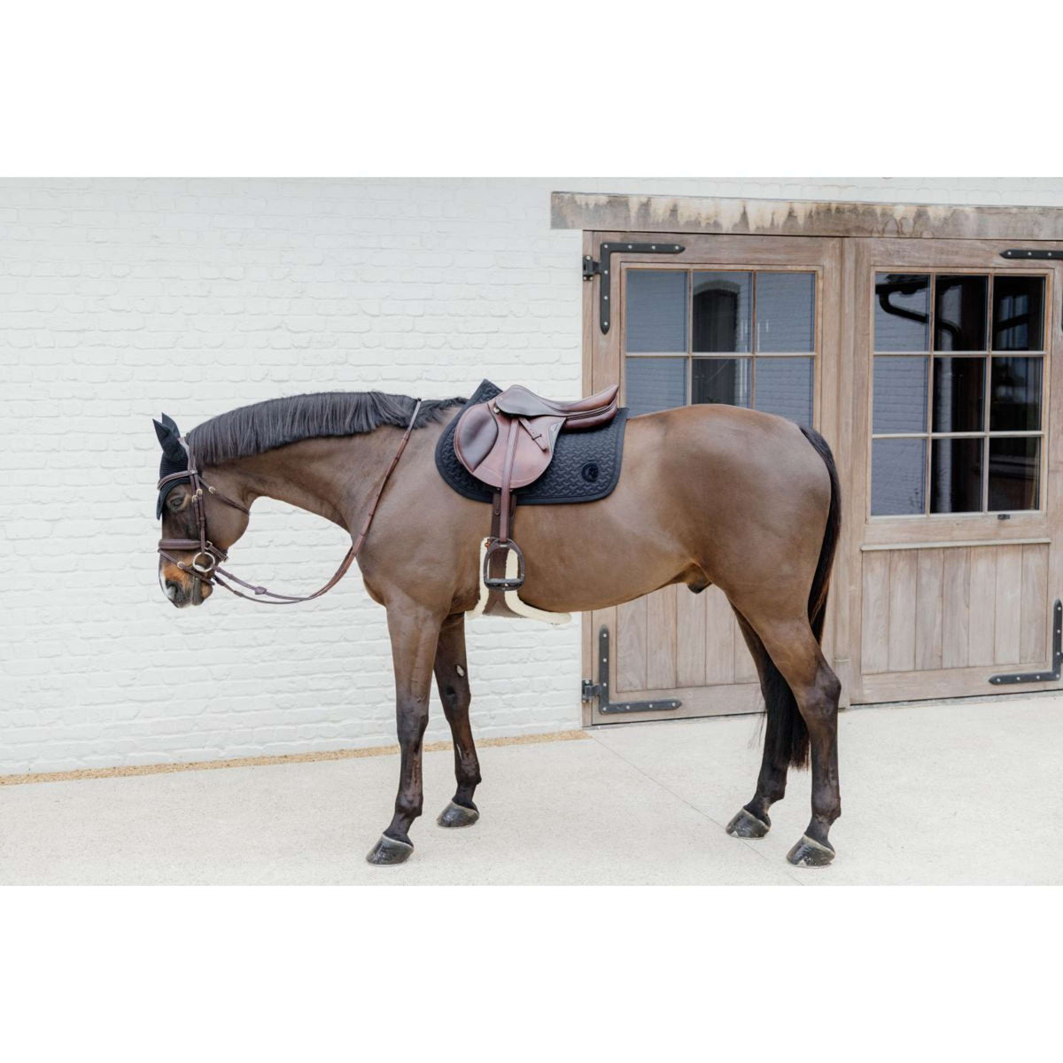 Kentucky Horsewear Sottosella Plaited Logo Springen Nero